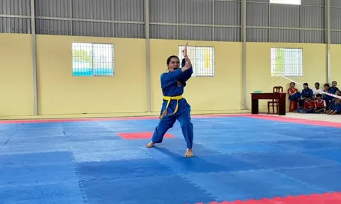 Giải Vovinam trẻ và vô địch tỉnh Đồng Tháp năm 2024