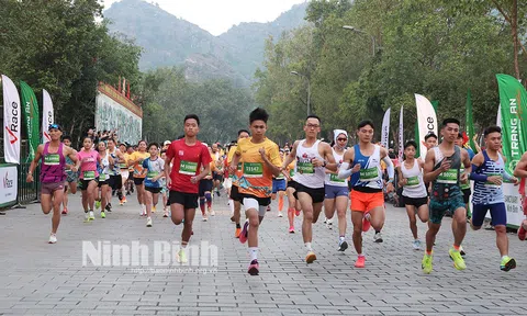 Hơn 5.000 vận động viên tham gia giải Chạy Tràng An Marathon 2024