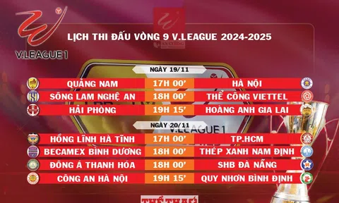 Lịch thi đấu vòng 9 V.League 2024-2025