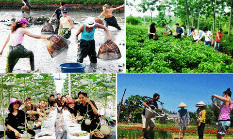 Thúc đẩy đổi mới sáng tạo, phát triển du lịch nông thôn bền vững