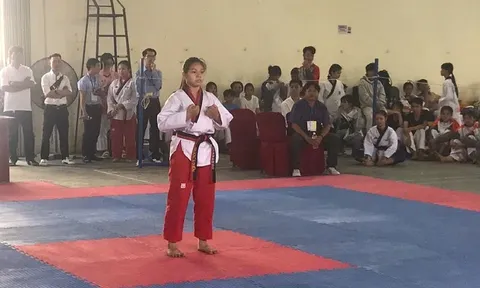 Giải Taekwondo Cúp các câu lạc bộ tỉnh Đồng Tháp lần thứ IX