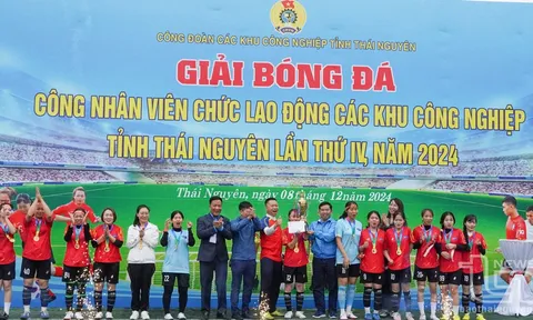 Giải Bóng đá công nhân, lao động các khu công nghiệp tỉnh Thái Nguyên năm 2024