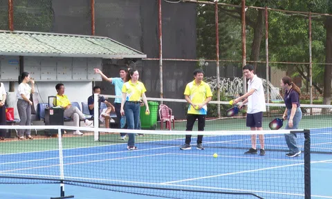 Hà Nam phát triển phong trào tập luyện pickleball ở nông thôn