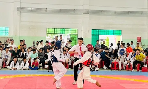 Kiên Giang tăng cường quản lý việc tập luyện, thi thăng cấp đai Taekwondo trên địa bàn tỉnh