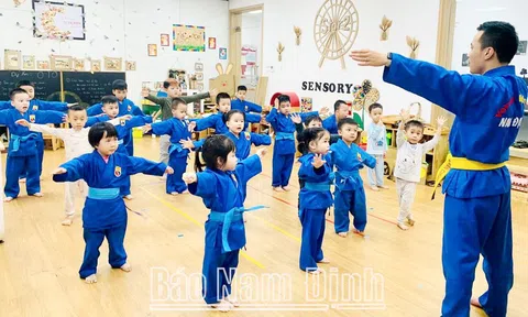 Nam Định phát triển phong trào Vovinam học đường