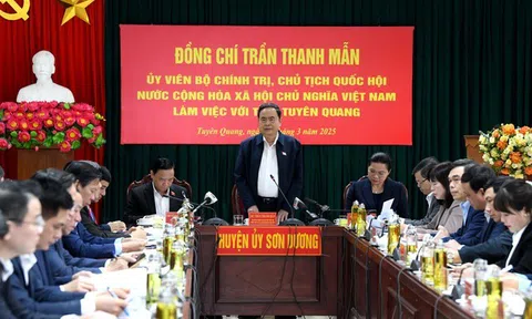 Nghiên cứu, phát triển Khu di tích quốc gia đặc biệt Tân Trào trở thành Công viên văn hóa lịch sử