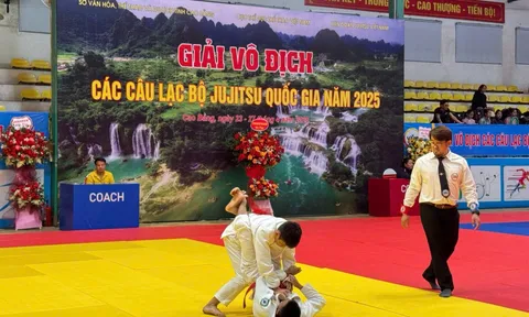 Hơn 300 vận động viên tham dự giải vô địch các câu lạc bộ Ju-jitsu quốc gia 2025