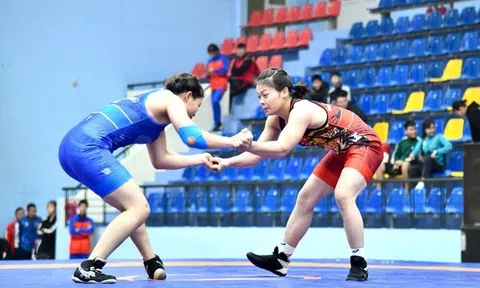 Đội tuyển vật Việt Nam tham dự giải vô địch Đông Nam Á 2025 với lực lượng hùng hậu