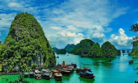 Hoàn thiện dự thảo Nghị định về quản lý, bảo vệ và phát huy giá trị di sản văn hóa