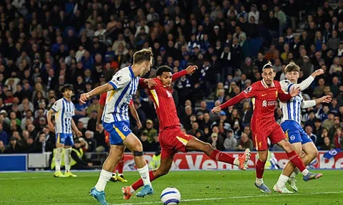 Premier League: Brighton ngược dòng kịch tính