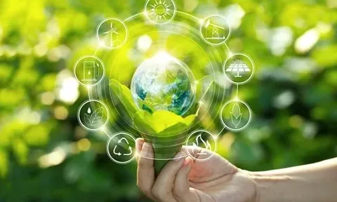 Tổ chức các hoạt động hưởng ứng Ngày Môi trường thế giới (05/6) và Tháng hành động vì môi trường năm 2025