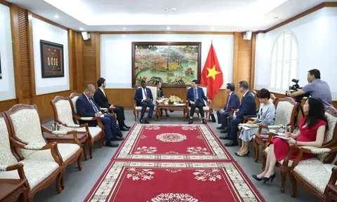 Thúc đẩy hơn mối quan hệ hữu nghị giữa Việt Nam - Cộng đồng thịnh vượng chung Dominica