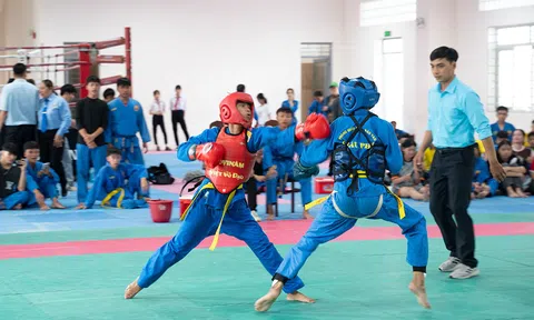 An Giang phát triển môn Vovinam trên nền tảng phong trào
