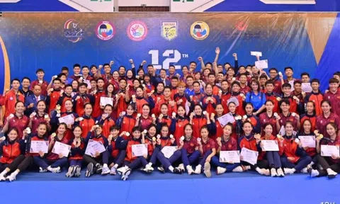 Giải Karate vô địch Đông Nam Á 2025: Giành 28 huy chương vàng, Việt Nam xếp thứ nhất toàn đoàn