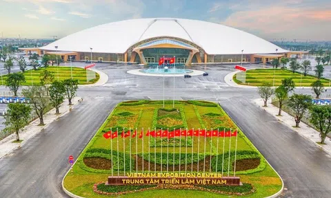 Tổ chức triển lãm "80 năm Hành trình Độc lập - Tự do - Hạnh phúc" 