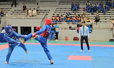 Giải vô địch Vovinam tỉnh Gia Lai năm 2025