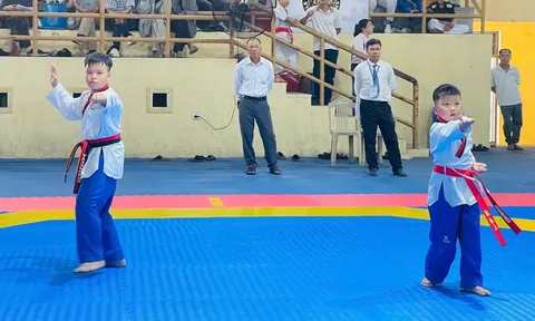 Hơn 430 vận động viên tranh tài tại Giải Taekwondo Thanh thiếu nhi thành phố Huế năm 2025