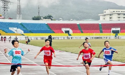 Ngành Giáo dục và Đào tạo Quảng Ninh đẩy mạnh phong trào thể dục thể thao trong trường học