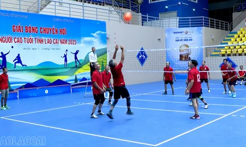 Giải Bóng chuyền hơi người cao tuổi tỉnh Lào Cai năm 2025