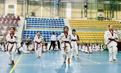 Gần 300 võ sinh thi thăng đẳng Taekwondo năm 2025