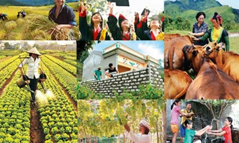 Phấn đấu giải ngân 100% vốn đầu tư công cho các chương trình mục tiêu quốc gia năm 2025