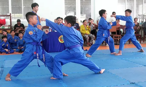 Liên đoàn Vovinam - Việt Võ Đạo thành phố Cần Thơ thi thăng cấp sơ đẳng Vovinam 