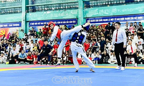 Gần 500 võ sinh tranh tài Giải Taekwondo các Câu lạc bộ tỉnh Cà Mau năm 2025