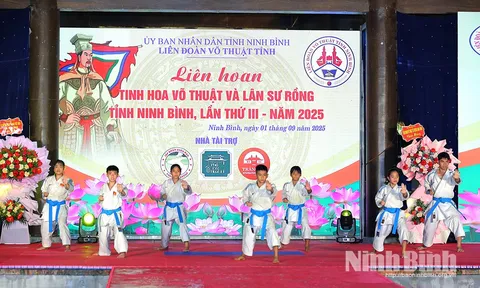 Liên hoan tinh hoa võ thuật và Lân Sư Rồng tỉnh Ninh Bình lần thứ III