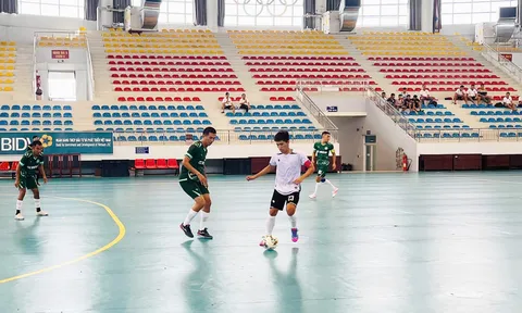 Gần 200 vận động viên tranh tài Giải Futsal vô địch tỉnh An Giang năm 2025