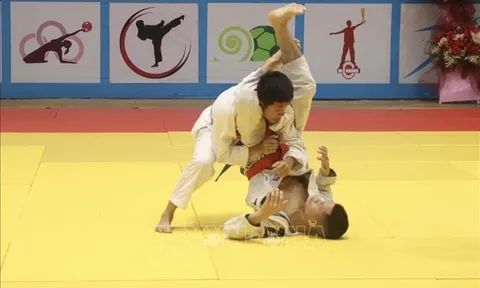 Khởi tranh Giải vô địch Ju-jitsu quốc gia 2025