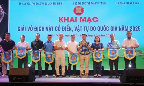 Hơn 300 vận động viên tranh tài Giải vô địch Vật cổ điển, Vật tự do quốc gia năm 2025