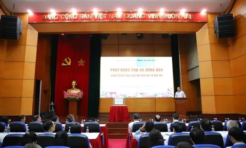 Bộ Văn hóa, Thể thao và Du lịch phát động quyên góp, ủng hộ đồng bào bị thiệt hại do bão số 10