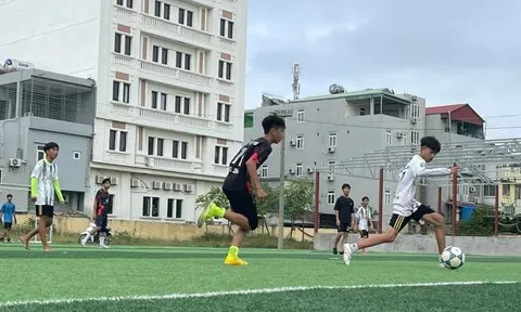 Đại hội Thể dục thể thao thành phố Hải Phòng lần thứ X sẽ hoàn thành vào tháng 5/2026