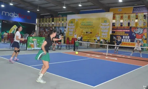 Hơn 350 tay vợt tranh tài Giải Quần vợt, Pickleball doanh nhân, Cúp bia Lowen