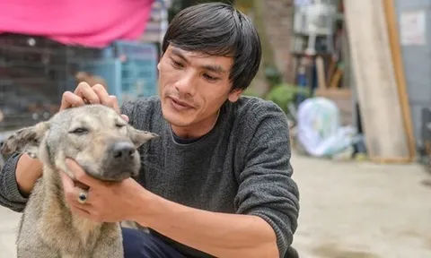 “Sân nhà nhiều Chó“ - điểm sáng nhân văn trong hành trình xây dựng nông thôn mới