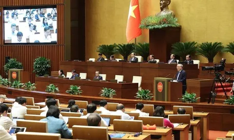 Tiếp tục chú trọng phát triển các lĩnh vực văn hóa, bảo đảm an sinh xã hội