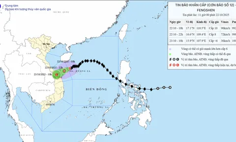 Bộ Văn hóa, Thể thao và Du lịch chủ động triển khai các biện pháp ứng phó với bão số 12 và mưa lũ