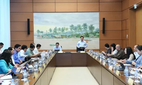 Tiếp tục tăng cường chuyển đổi số, ứng dụng trí tuệ nhân tạo trong thực thi công vụ