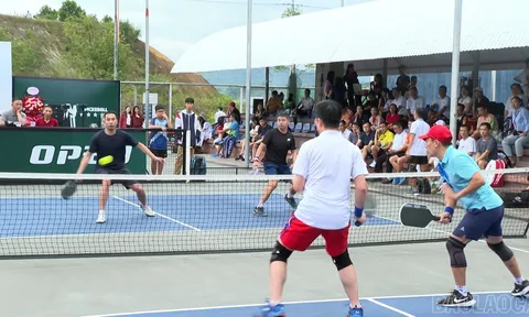 Giải vô địch Pickleball các lứa tuổi tỉnh Lào Cai năm 2025