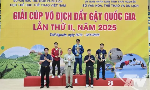 Thái Nguyên nhất toàn đoàn Giải Cúp vô địch Đẩy gậy quốc gia 2025