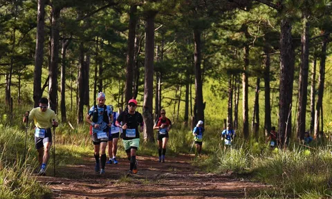 Hoãn giải Lâm Đồng Trail 2025 vì bão Kalmaegi