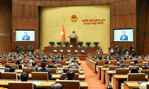 Khẩn trương triển khai đồng bộ các luật, nghị quyết đã được Quốc hội thông qua