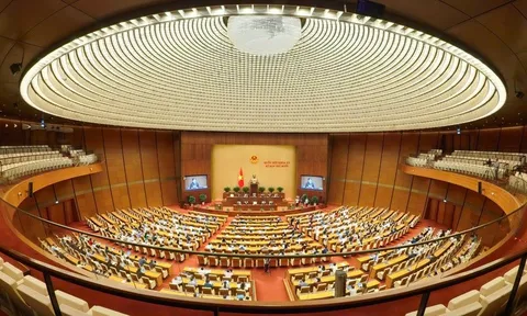 Các luật, nghị quyết được thông qua kịp thời, nghiêm minh, nhất quán, hiệu lực, hiệu quả