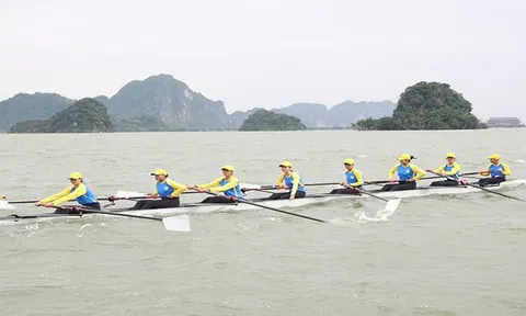 Hơn 500 vận động viên tham gia Giải Đua thuyền Rowing, Canoeing và Rowing máy vô địch quốc gia năm 2025