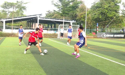 Hội thao Sinh viên tỉnh Vĩnh Long năm 2026