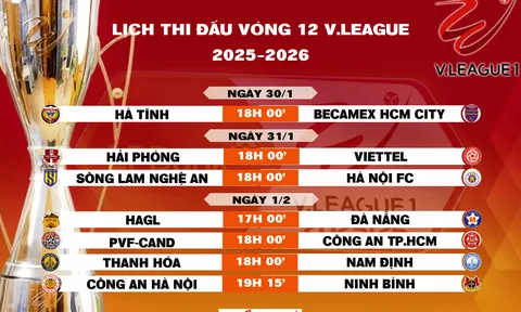 Lịch thi đấu vòng 12 V.League 2025-2026