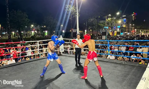 Giải vô địch các Câu lạc bộ Kickboxing tỉnh Đồng Nai năm 2026