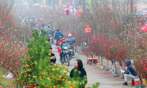 Tổ chức tốt các chương trình văn hóa, nghệ thuật phục vụ Nhân dân trong dịp Tết Nguyên đán