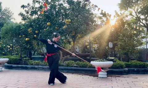 Hình tượng ngựa trong Võ cổ truyền Việt Nam