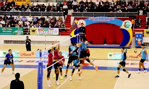 VTV Bình Điền Long An và Biên Phòng sẽ dự Cúp Hoa Lư - Bình Điền 2026
